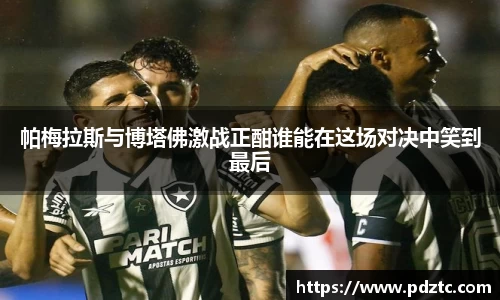 帕梅拉斯与博塔佛激战正酣谁能在这场对决中笑到最后