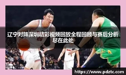 辽宁对阵深圳精彩视频回放全程回顾与赛后分析尽在此处